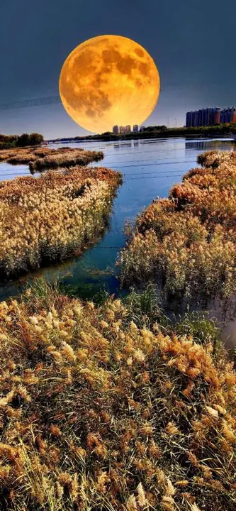 A full moon above a narrow channel through autumn reeds