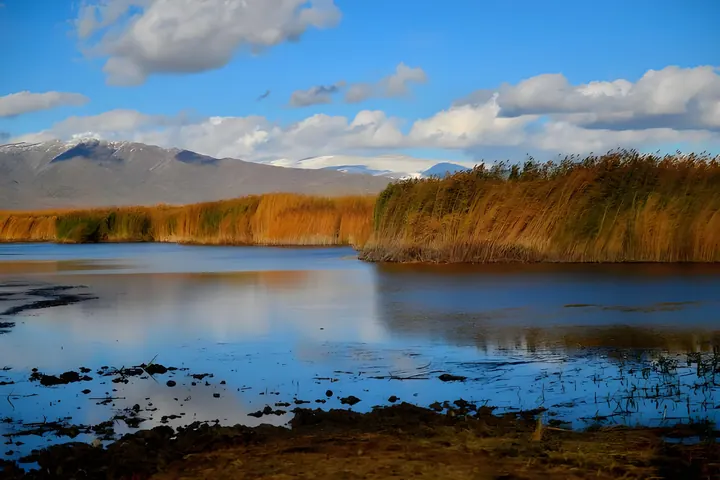 A broad wetland pool bordered by reeds beneath scattered clouds